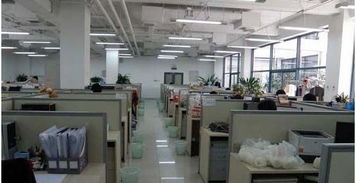 黄金花日用百货个体经营公司简介